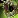 Unknown icon
