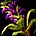 inv_misc_herb_03