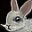 inv_misc_rabbit