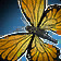Papillonneur héliotrope Icon