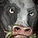 Vache pygmée Icon