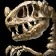 Jeune raptor fossilisé Icon