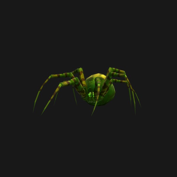 Jeune araignée de la pénombre - preview