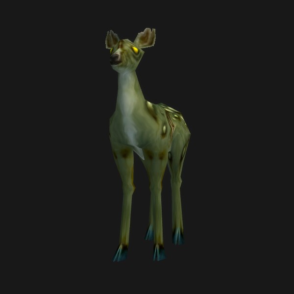 Faon infecté
