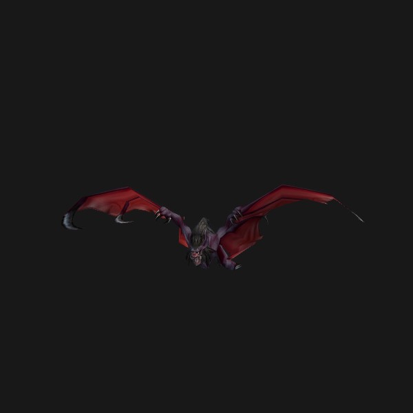 Chauve-souricette vampirique