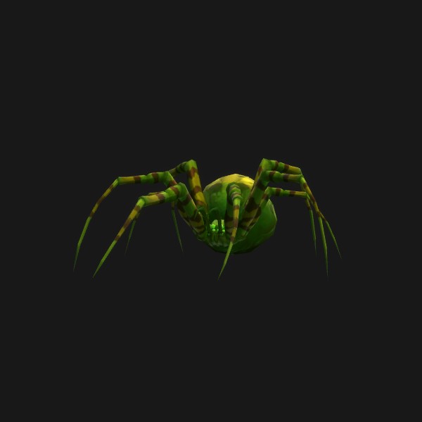 Jeune araignée forestière