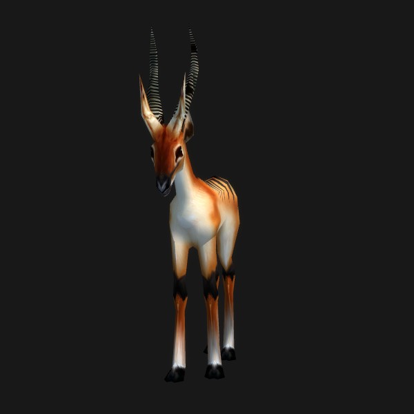 Jeune gazelle
