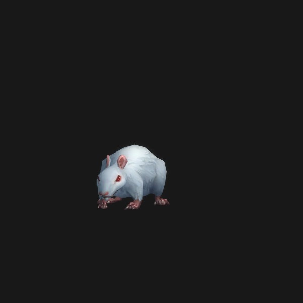 Rat aveugle