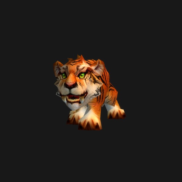 Bébé tigre sauvage