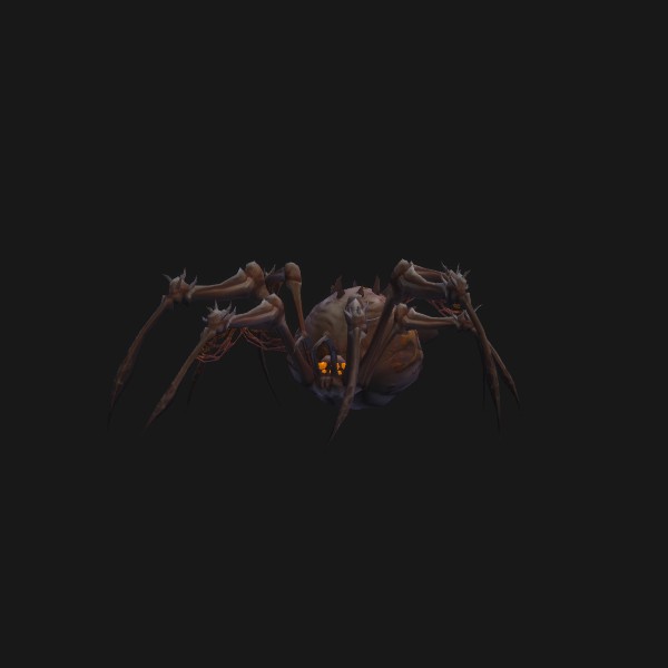 Jeune araignée fouisseuse