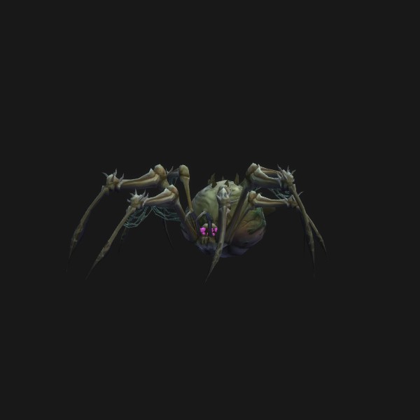 Araignée nourrice - preview