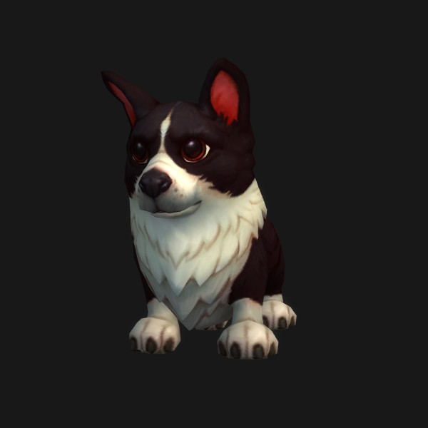 Corgnelius
