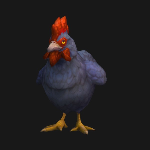 Poulet de la vallée